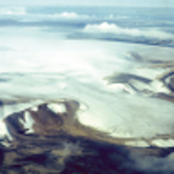 Meet your Posher, Lucie - Picture 1 of 1